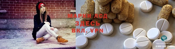 мяу мяу мука Аркадак