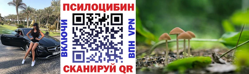 Галлюциногенные грибы мухоморы закладки Пласт