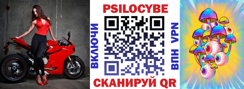 Псилоцибиновые грибы Cubensis Пласт